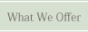 What We Offer