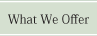 What We Offer